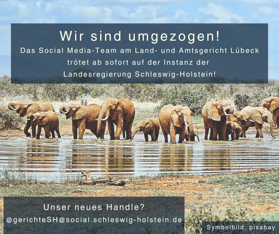 Land SchleswigHolstein vfd (landesregierungsocial.schleswig
