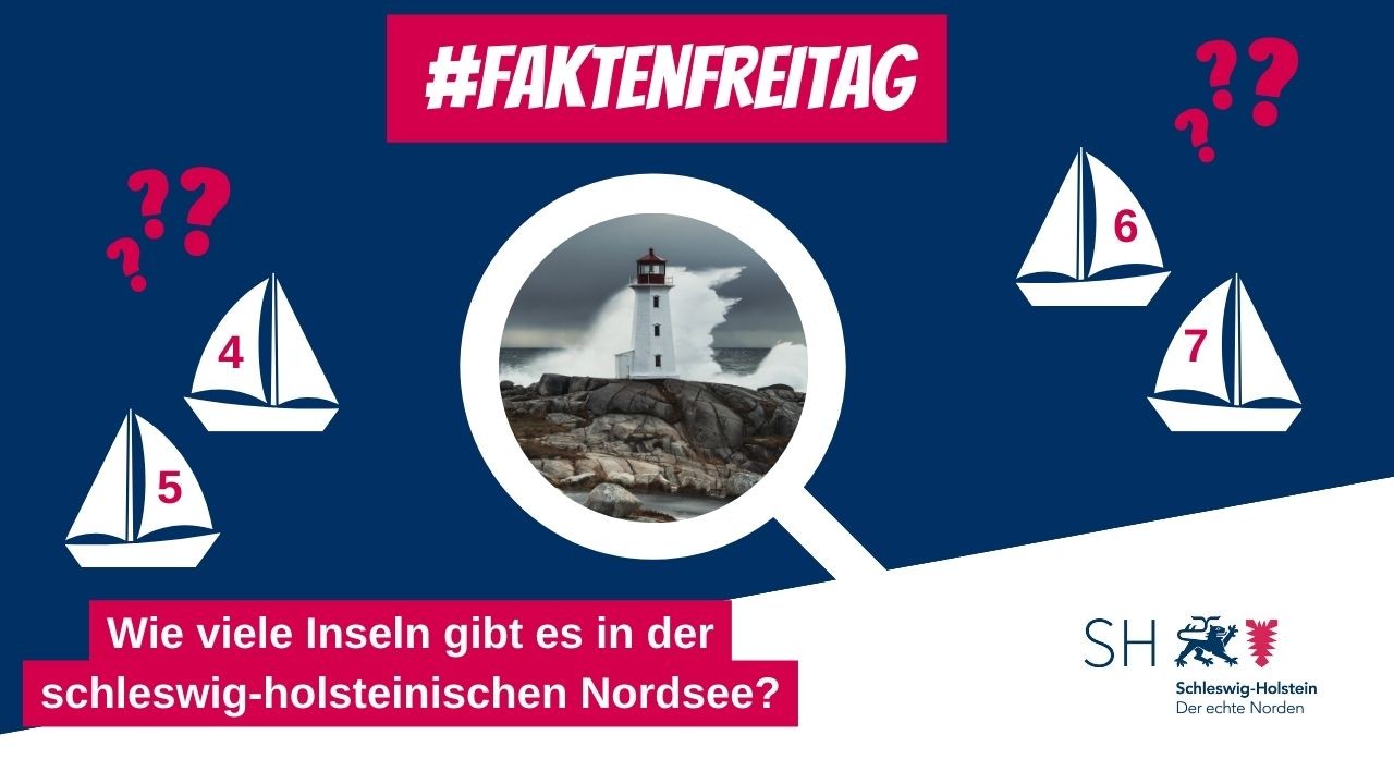 Land SchleswigHolstein vfd (landesregierungsocial.schleswig