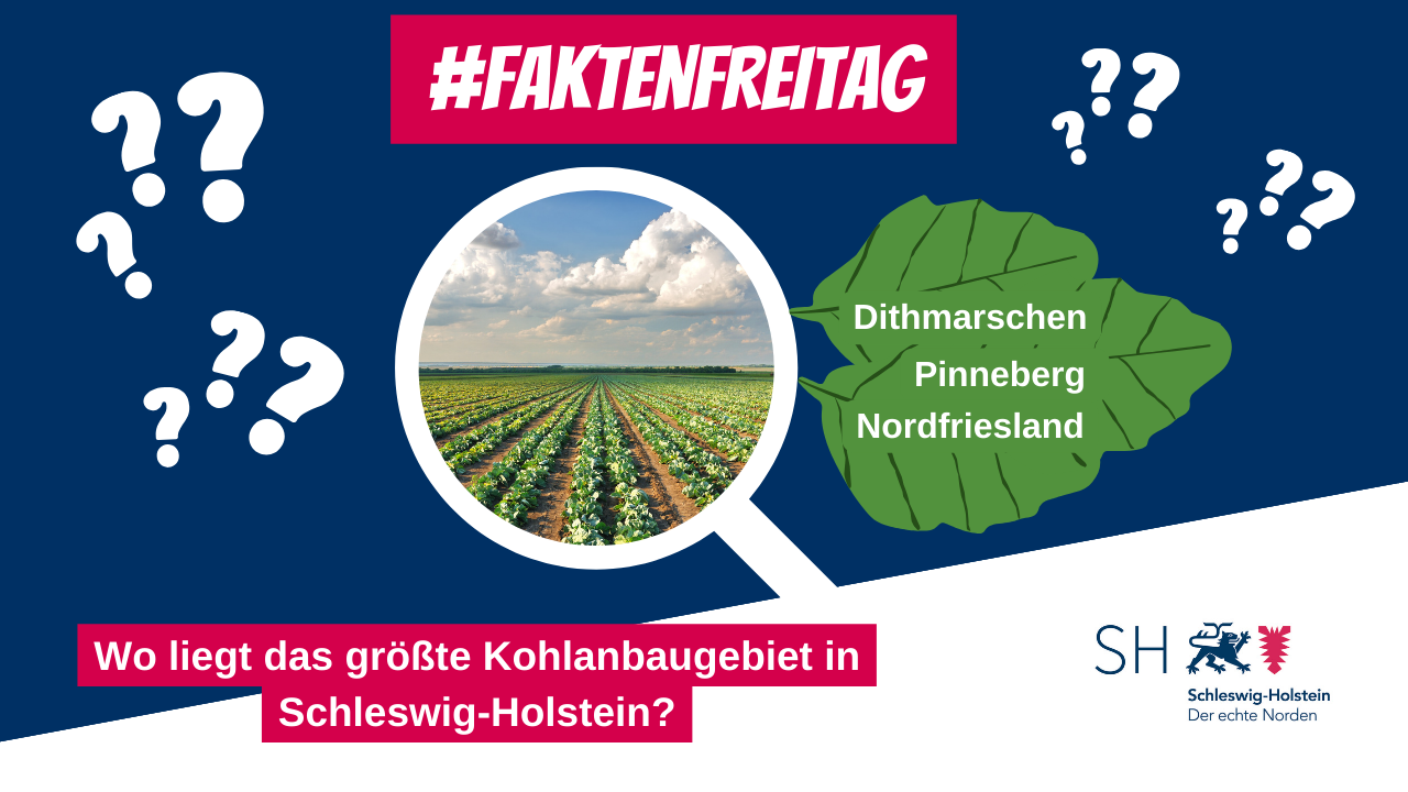 Land SchleswigHolstein vfd "Es ist wieder FaktenFreitag und bei uns geht es …" Mastodon