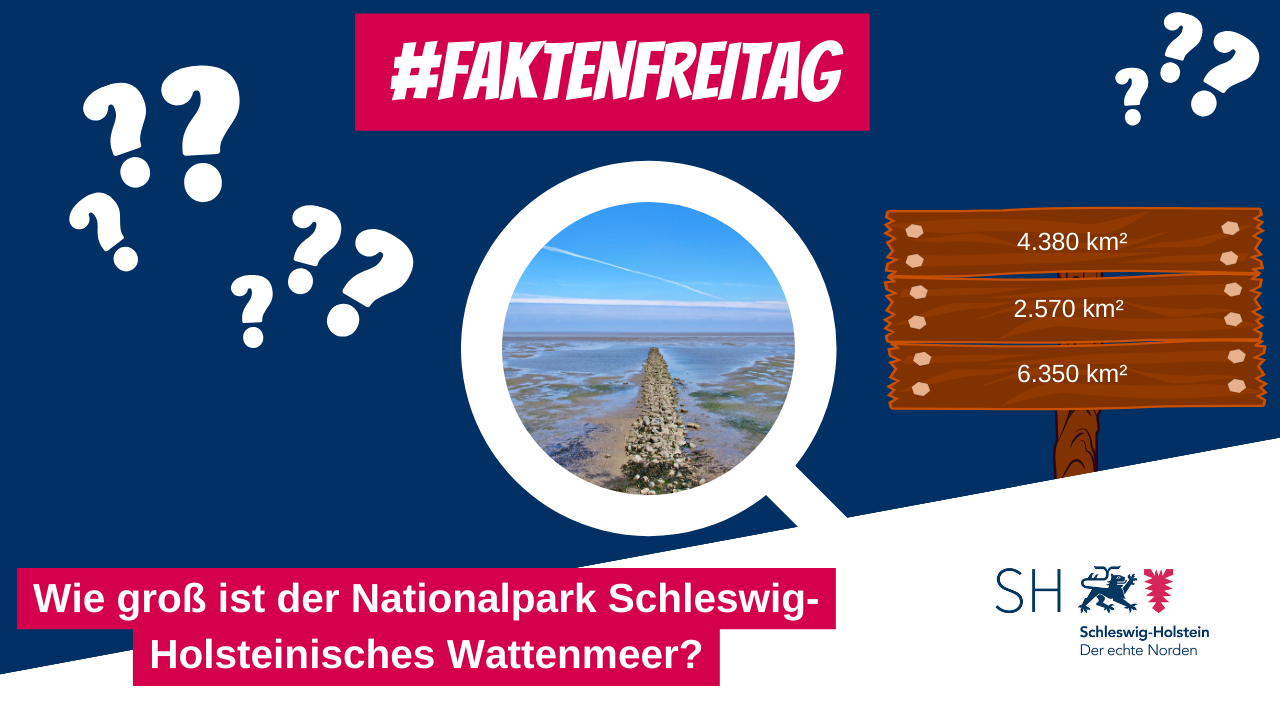 Land SchleswigHolstein vfd (landesregierungsocial.schleswig