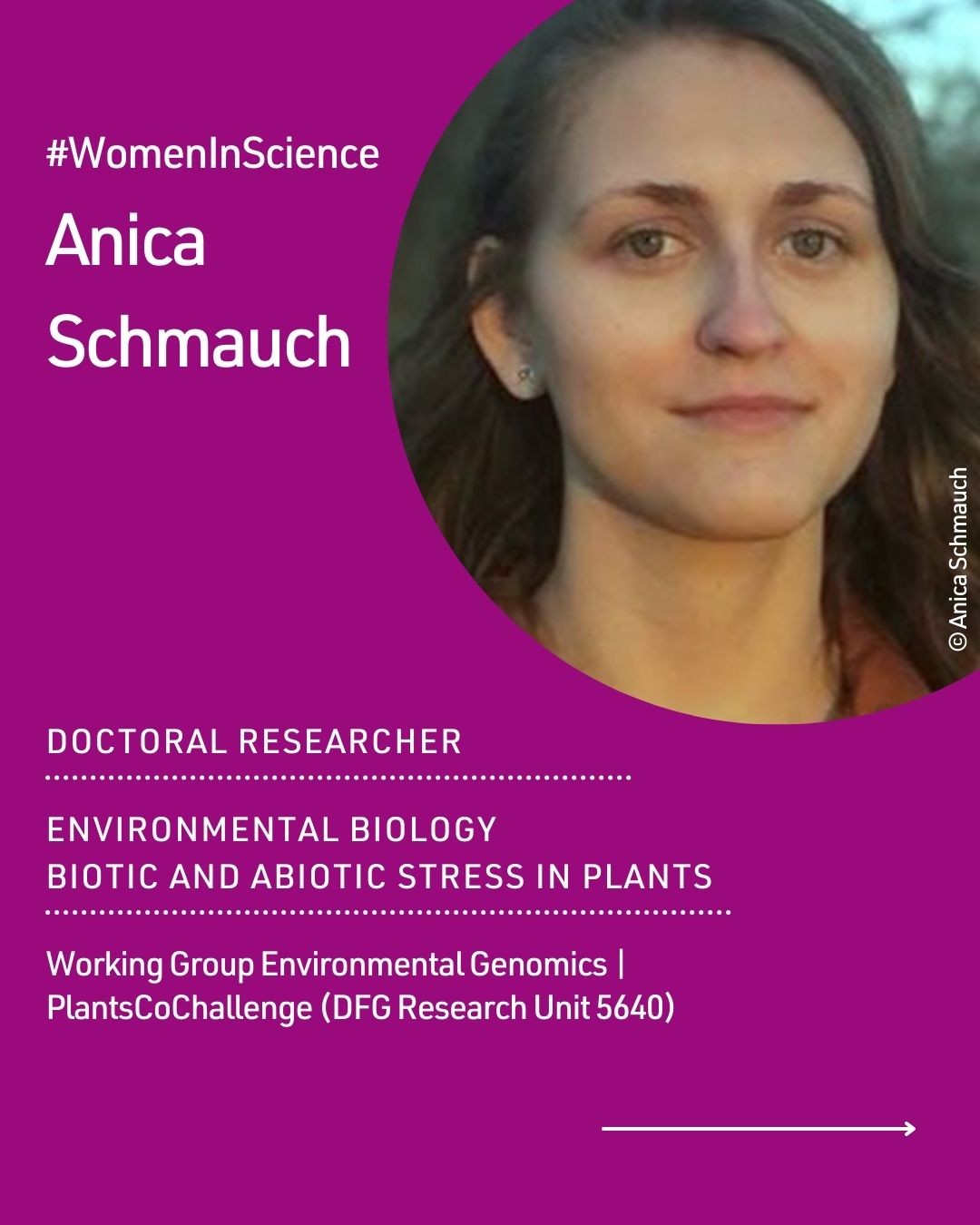 U mushukchaga sichqonchani tiqdi. Porno jingalak